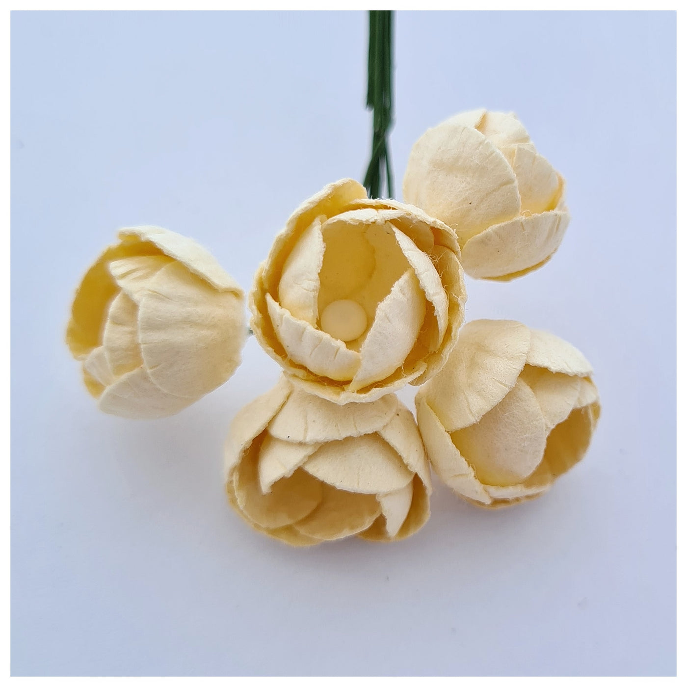 10-15mm Mulberry Paper Buttercups (Various colours. 5 stems)