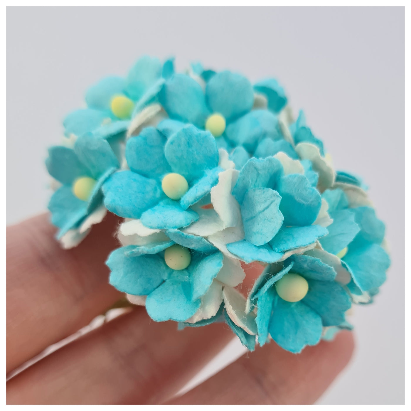 15mm TWO-TONE Mulberry Paper Sweetheart Blossoms (10 stems - various colour choices)