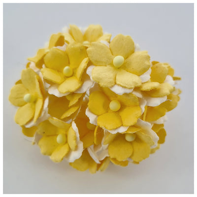 15mm TWO-TONE Mulberry Paper Sweetheart Blossoms (10 stems - various colour choices)