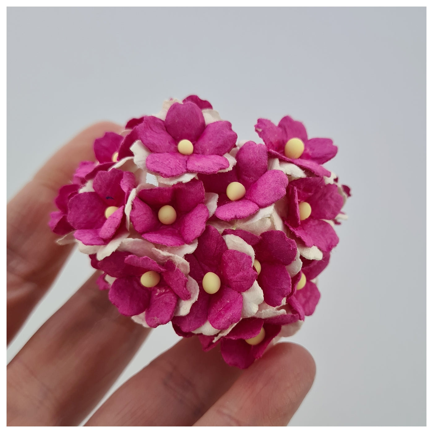 15mm TWO-TONE Mulberry Paper Sweetheart Blossoms (10 stems - various colour choices)