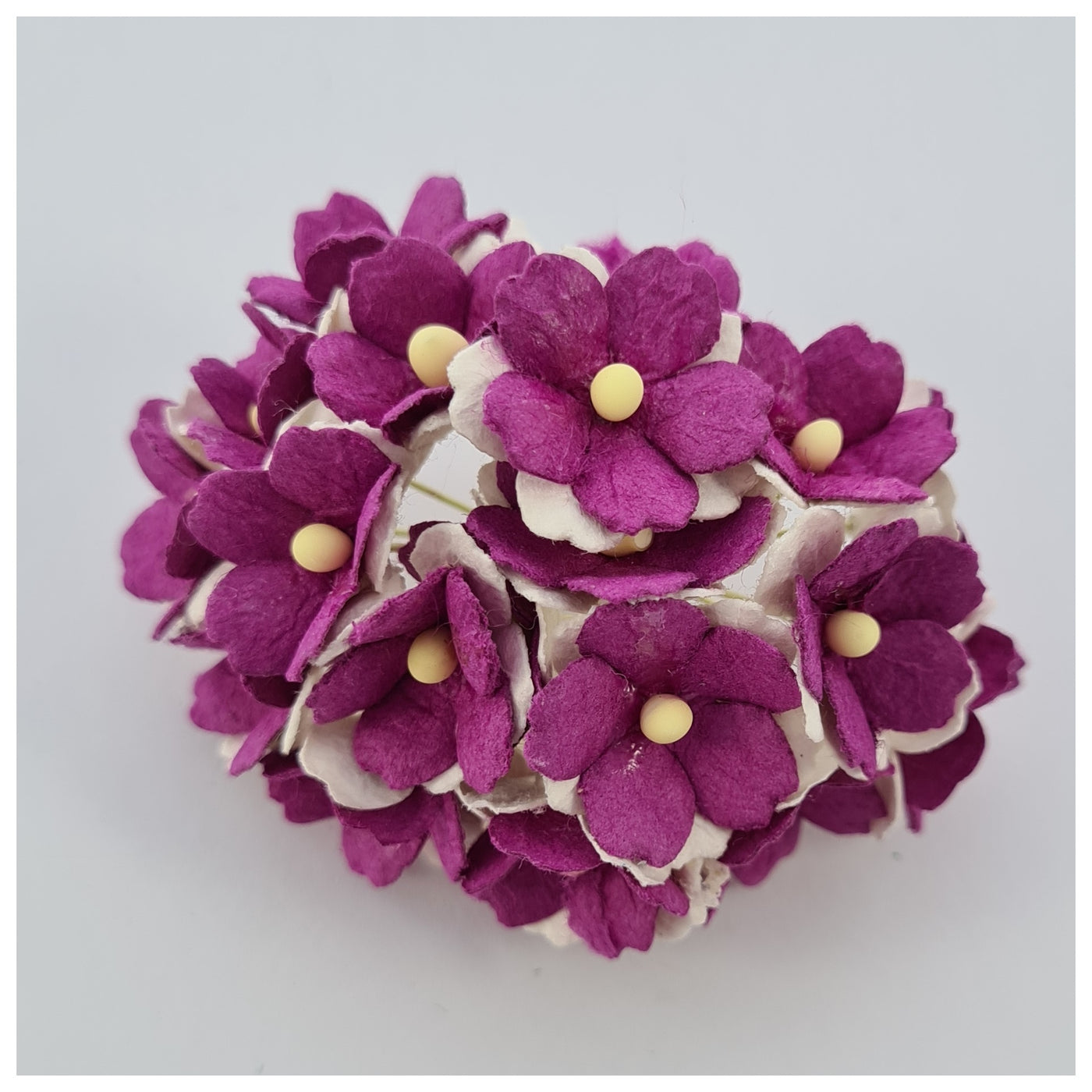 15mm TWO-TONE Mulberry Paper Sweetheart Blossoms (10 stems - various colour choices)