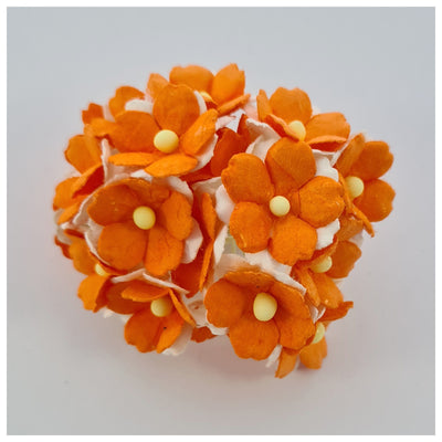 15mm TWO-TONE Mulberry Paper Sweetheart Blossoms (10 stems - various colour choices)