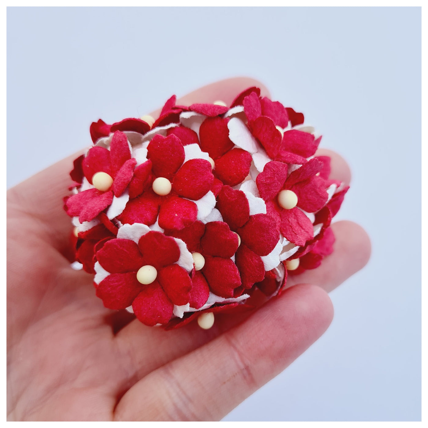 15mm TWO-TONE Mulberry Paper Sweetheart Blossoms (10 stems - various colour choices)