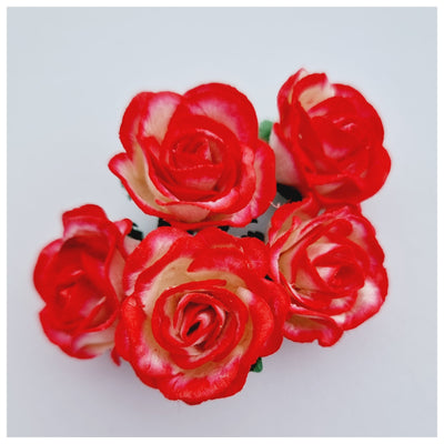 30mm TWO-TONE STRAWBERRY RED Mulberry Paper Wild Roses (1 colour, 5 stems)